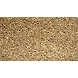 Bajra-MCDC-07-sm