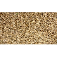 Bajra