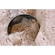 Wheat-MCDC-15-sm