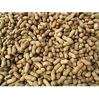 Ground-Nut
