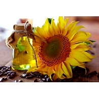 Sunflower Oil