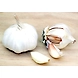 Garlic-MCDC-197-sm