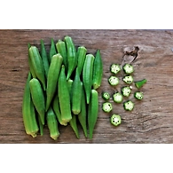 Okra/Ladies