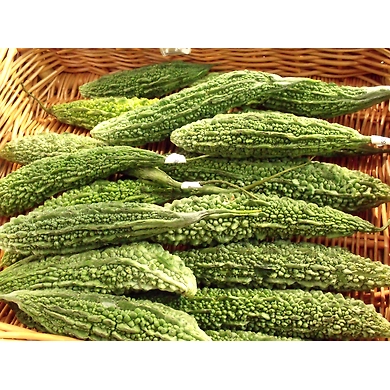 Bitter-gourd-MCDC-291