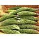 Bitter-gourd-MCDC-291-sm