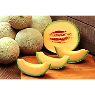 Muskmelon