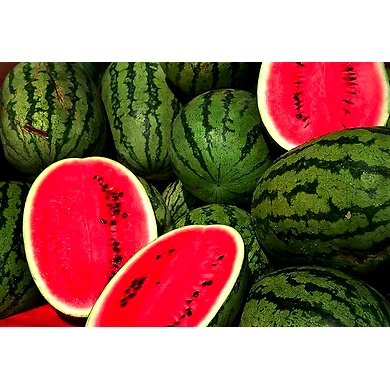 Watermelon-MCDC-312