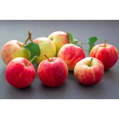 Apple -MCDC-319