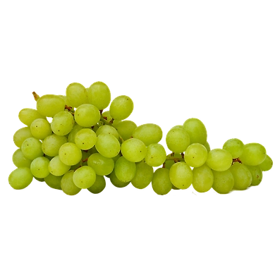 Grapes-MCDC-332