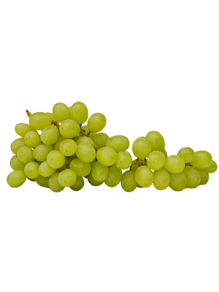 Grapes-MCDC-333