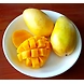 Mango-MCDC-341-sm