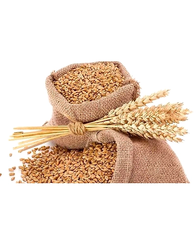 WHEAT FLOOR, WHEAT, WHEAT BRAN-1
