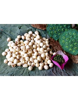 fox nut (makhana)