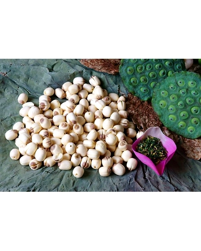fox nut (makhana)-10531820