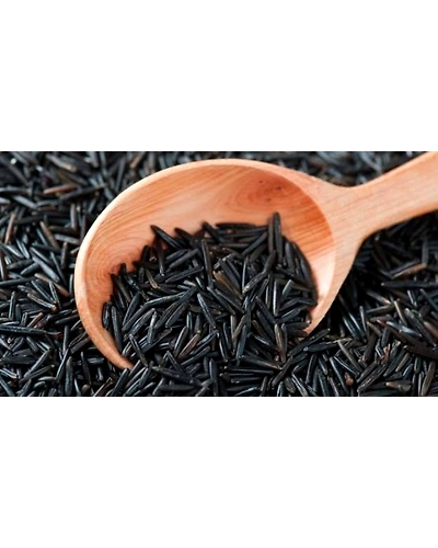 BLACK RICE-10531908