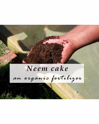 NEEM CAKE POWDER-10541530