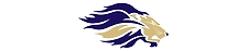 9M SECURITY SOLUTIONS PRIVATE LIMITED-logo