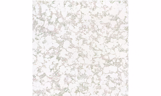 RUMBLE BLOSSOM