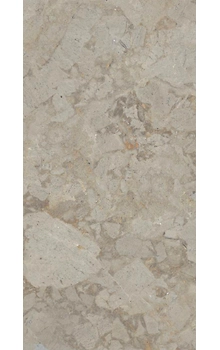 FISTO GRIS