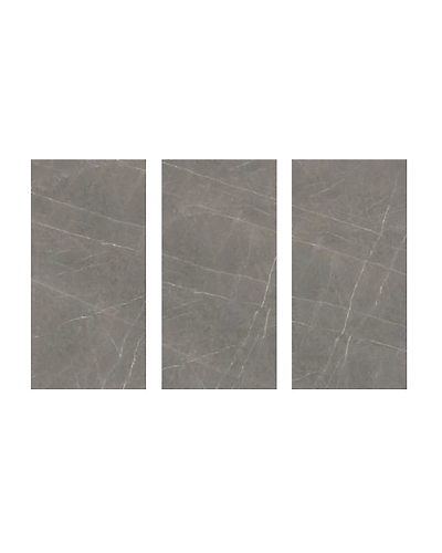 PITRA SILVER-2