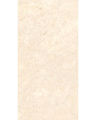 ALMA IVORY-10657082