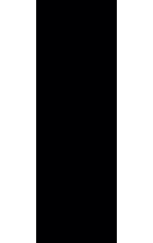 ZED BLACK