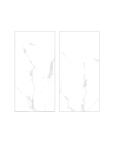 CARSAI SATUARIO-2
