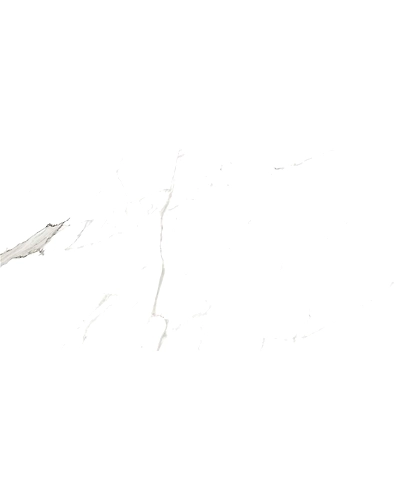 STATUARIO BIANCO-10780266
