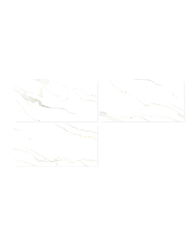 ARCTIC WHITE-1