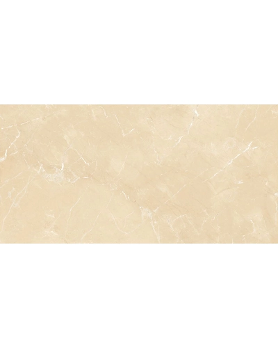 FOREST IVORY-10799030
