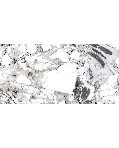 MAKARANI WHITE-10799160