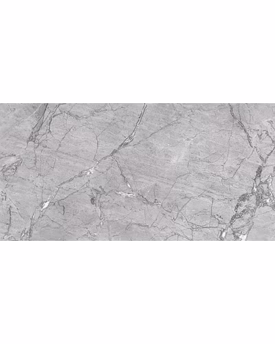PROFIDI GREY-10799244