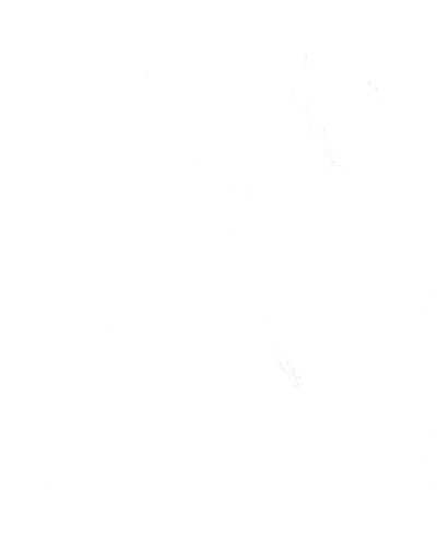 MARBLE CARRARA-10807332
