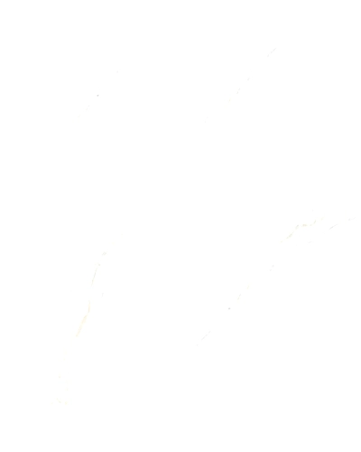 SMOKE WHITE-10807532