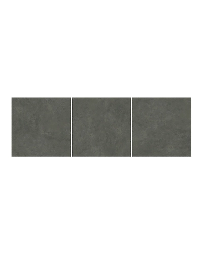 ALEXA SHADOW-1