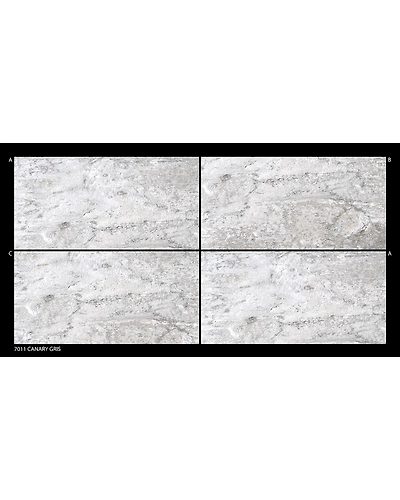 CANARY GRIS-10830988