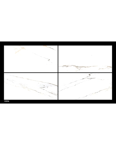12004-10832748
