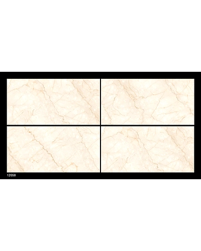 12058-10832880