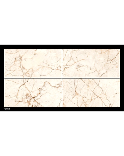 12062-10832882
