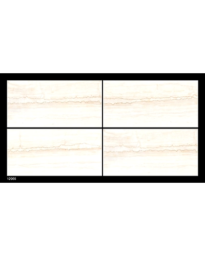 12065-10832884