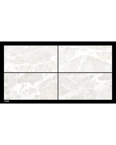 12069-10832888