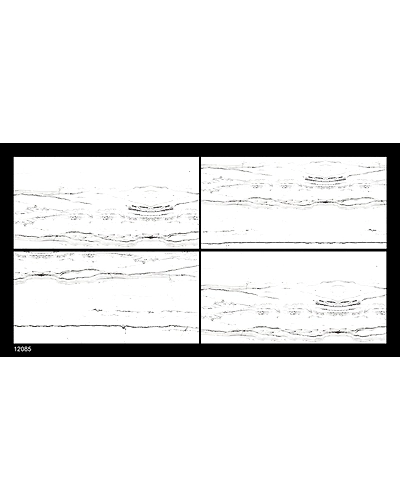 12085-10832892
