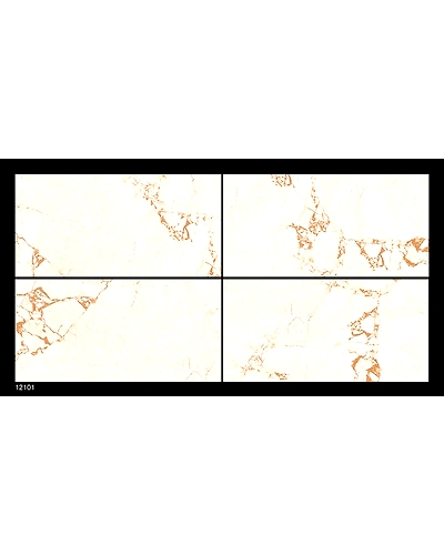 12101-10832894