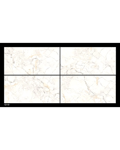 12119-10832898