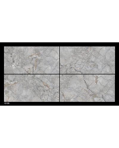 12120-10832900