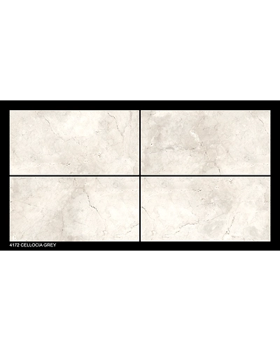 CELLOCIA GREY-10833028