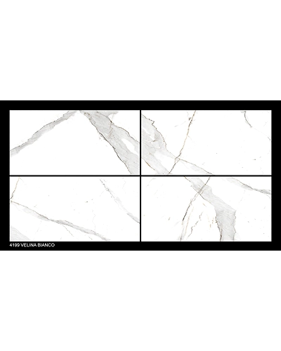 VELINA BIANCO-10833584