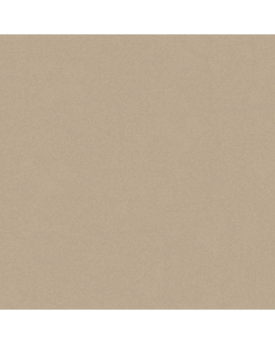 UNI COLOR BROWN-10868748