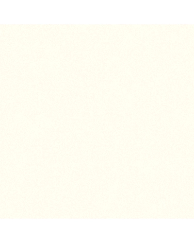 UNI COLOR IVORY-10868750