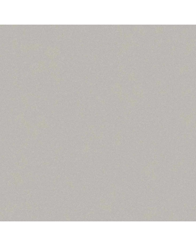 UNI COLOR LIGHT GREY-10868752